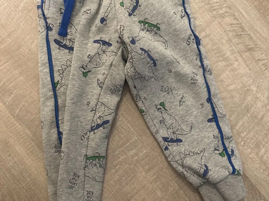 POCOPIANO Hose Gr. 98 Grau mit Dinosaurier-Muster – Foto 1